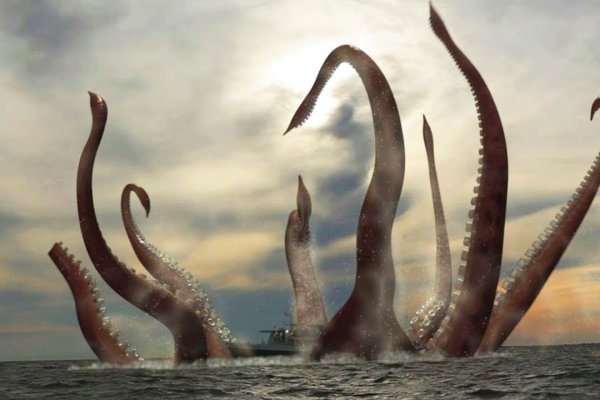 Kraken 22 аt