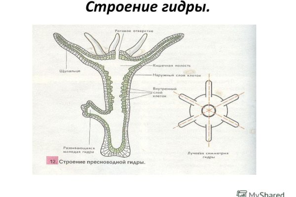 Кракен ссылка стор